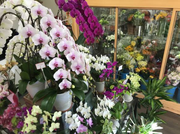 愛媛県松山市の花屋 ｆｉｏｒｉｓｔａ花乃真央にフラワーギフトはお任せください 当店は 安心と信頼の花キューピット加盟店です 花キューピットタウン